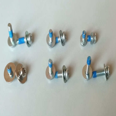 Screw 1